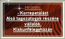 Dud&aacute;sn&eacute; Nagy-P&aacute;l Anita korepet&aacute;ll&aacute;s